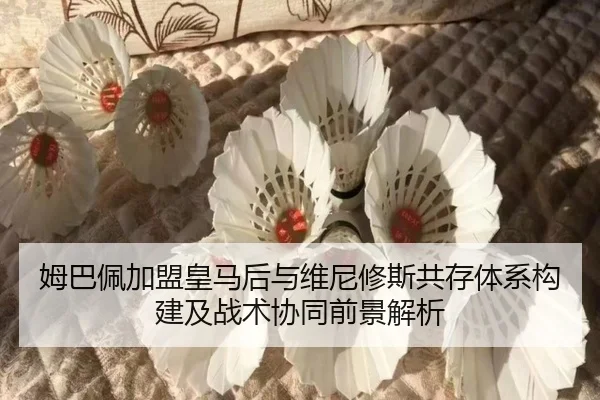 mu-ba-pei-jia-meng-huang-ma-hou-yu-wei-ni-xiu-si-gong-cun-ti-xi-gou-jian-ji-zhan-shu-xie-tong-qian-jing-jie-xi-3-530.jpg